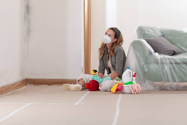 Reliable Mold Inspection contractor in Gibbsboro, NJ by WQB Mold Removal